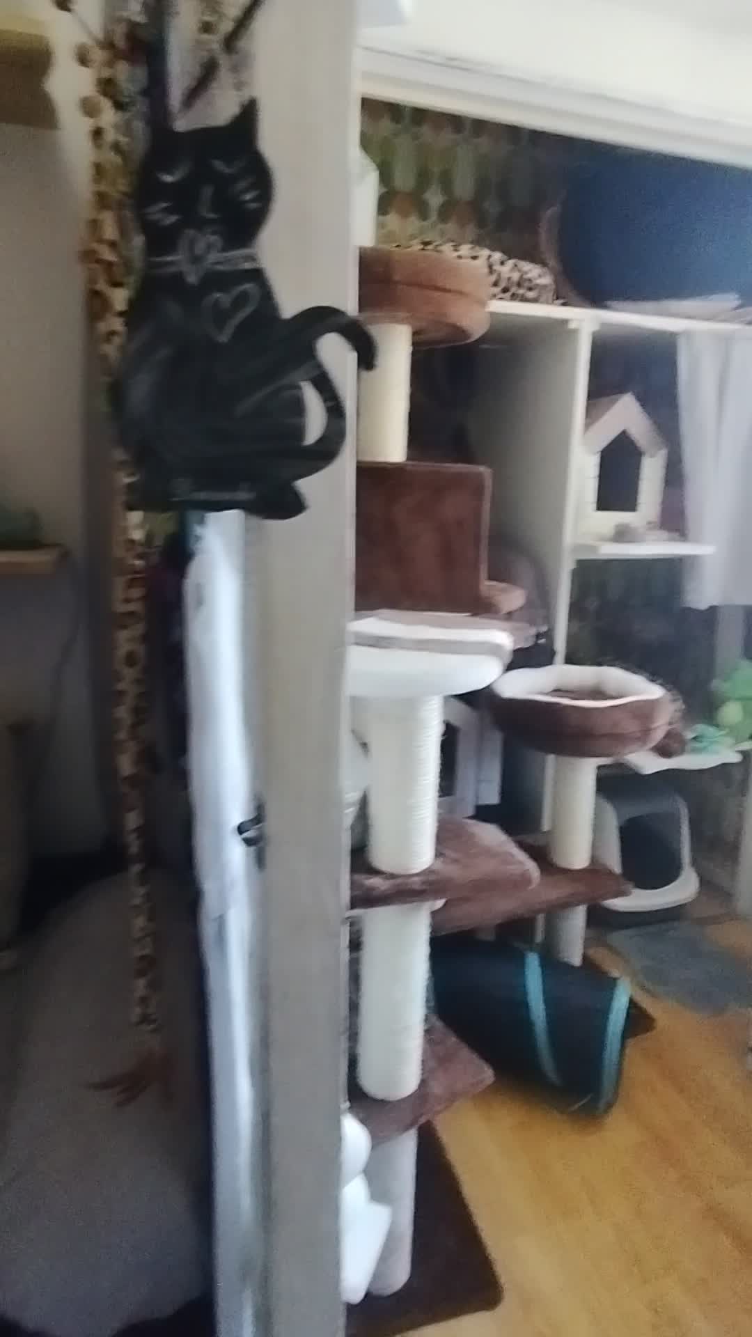 Chambres verte et grise