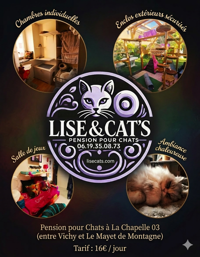 LISE CAT'S image