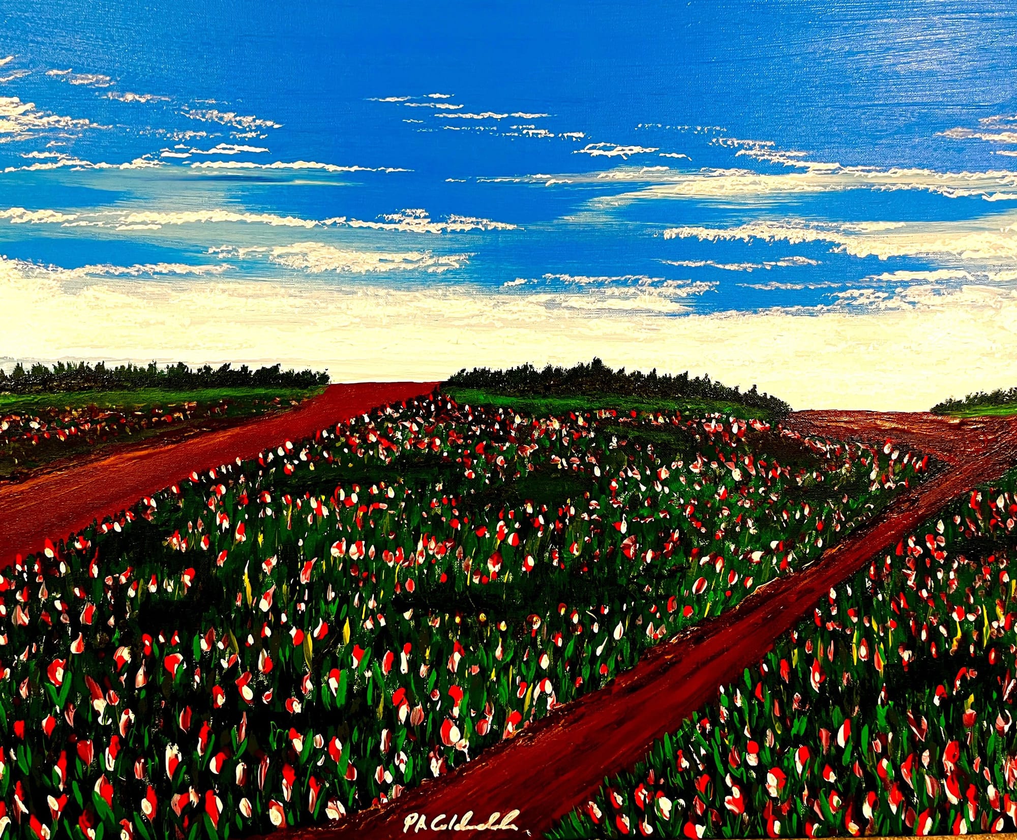 Tulip Symphony