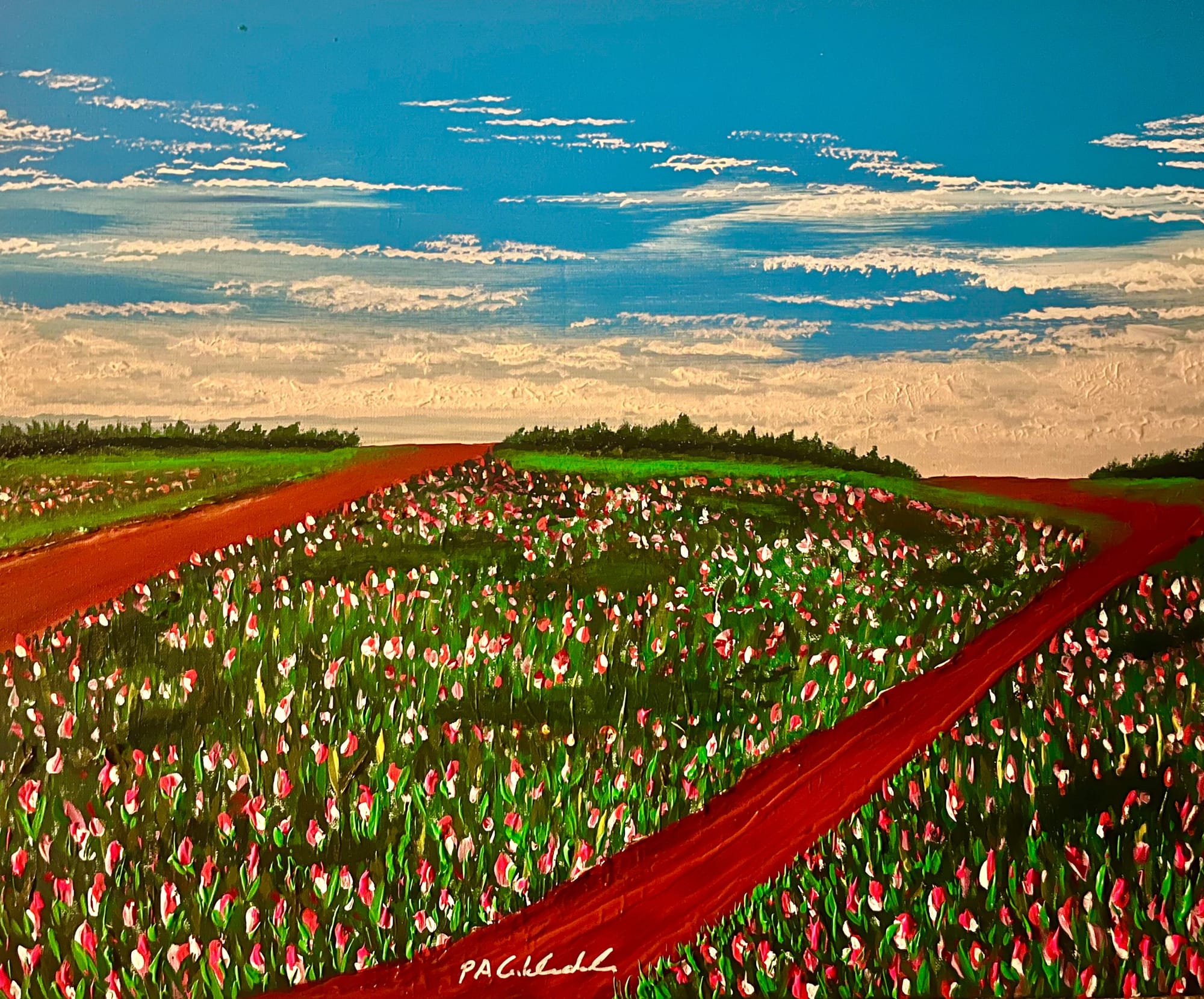 Tulip Symphony