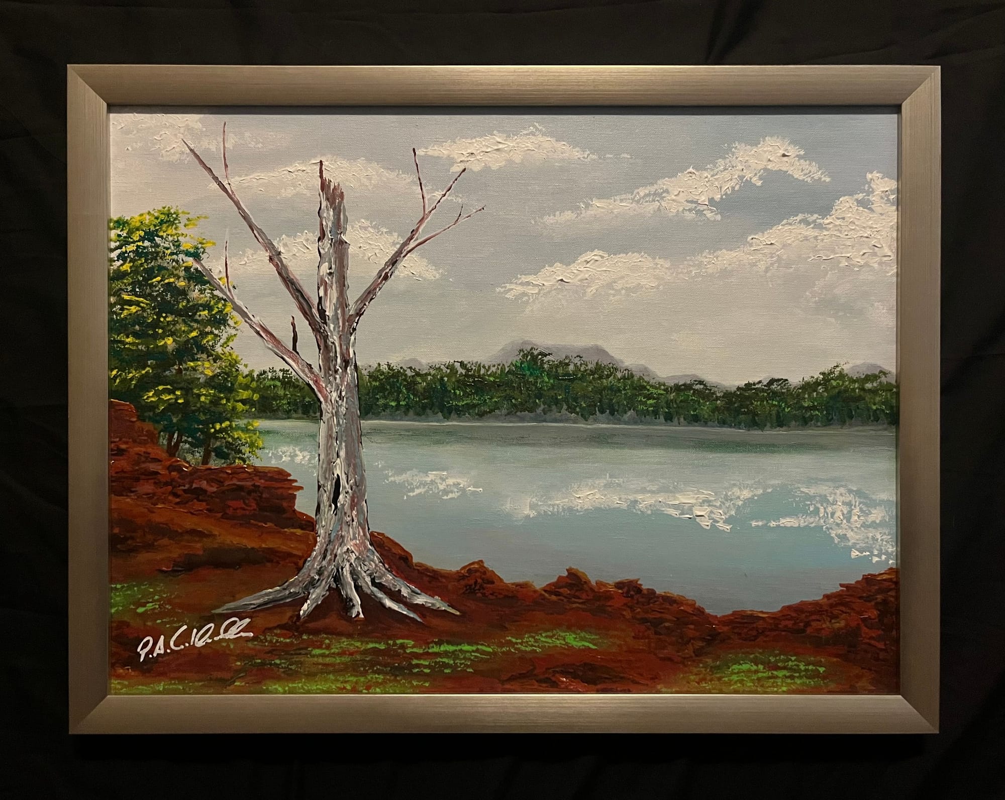 The Last Gum Tree