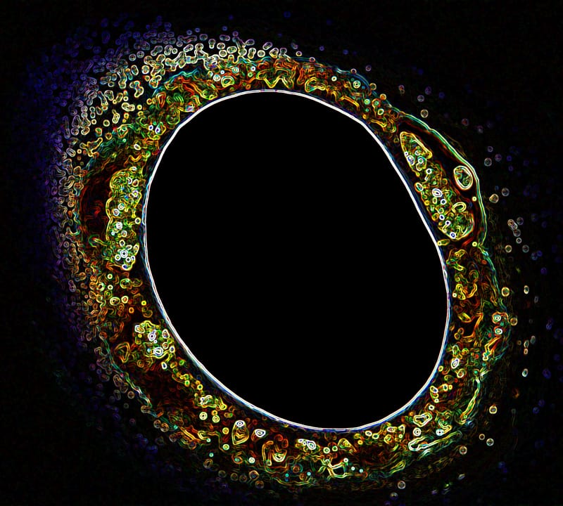 Primordial Cosmic Sense!