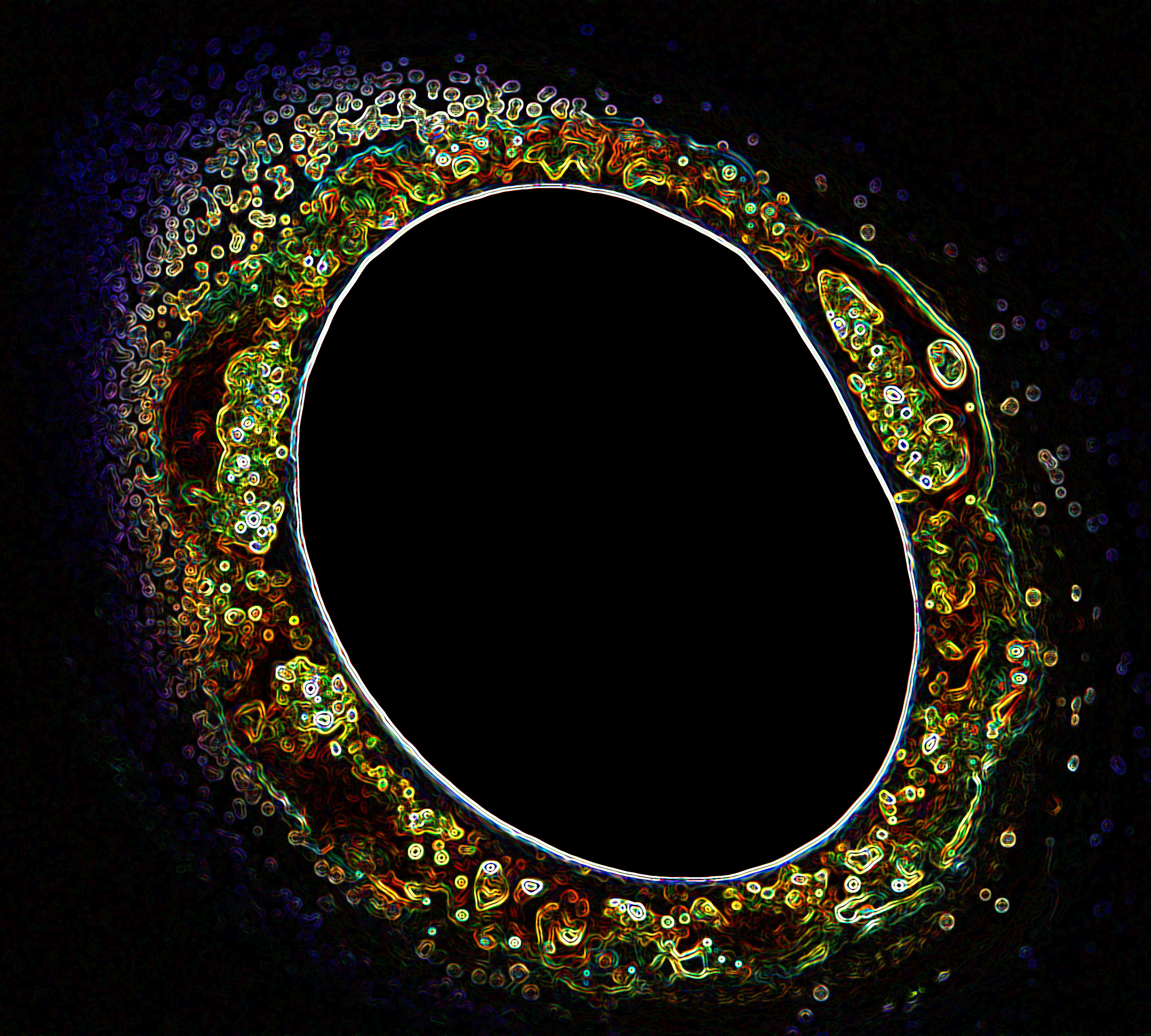 Primordial Cosmic Sense!