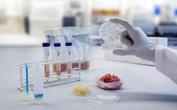Why Food Testing is the Unsung Hero of the Culinary World