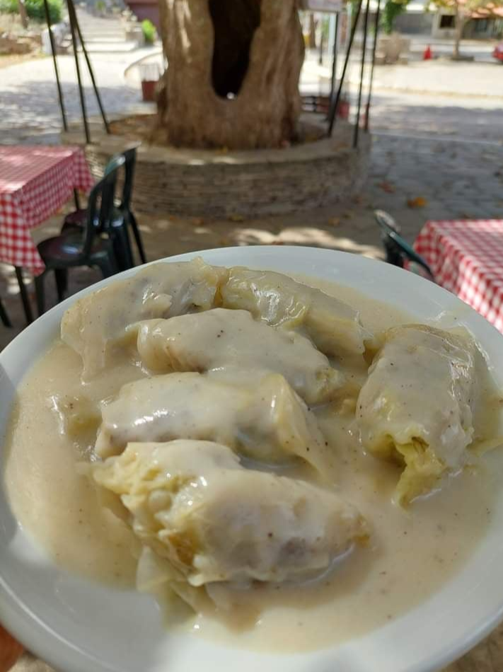 Cabbage dumplings