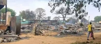 Ethnically motivated attacks perpetrated by the Sudanese Army in Darfur and Kordofan States