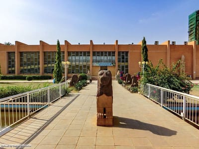 THE TEARS OF GUITARS AND THE CRIES OF MUSEUMS