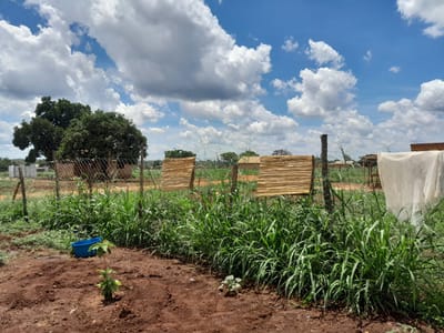 Uganda’s open-door policy gives refugees a new lease on life.