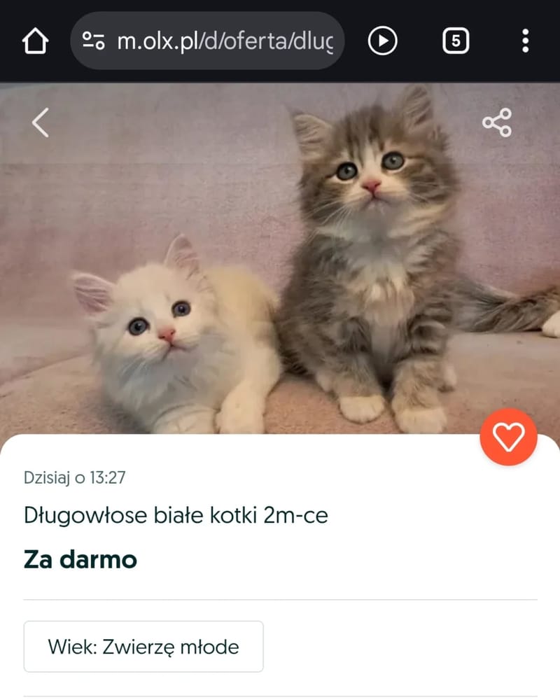 🌸 Ważna informacja! 🌸