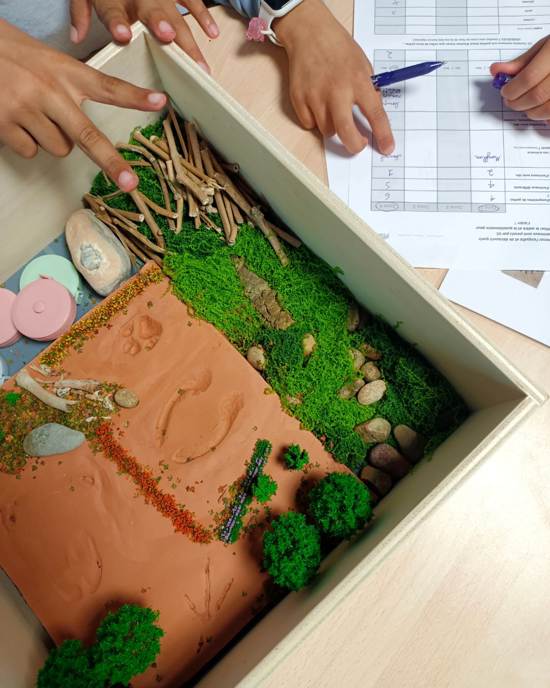 Atelier Archéozoo sur mesure