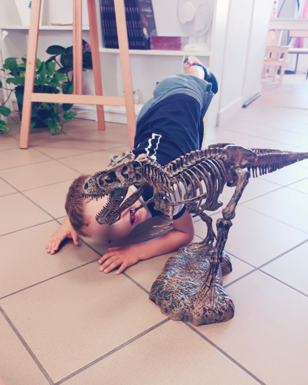 Atelier Archéozoo Dinos Fouilles