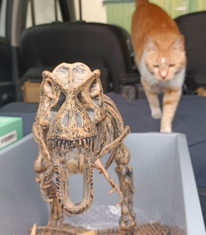 Atelier Jeudi 12 février