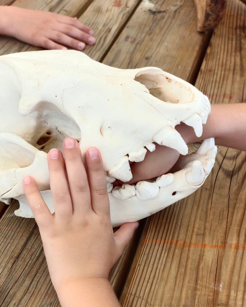 Samedi 7 mars - Médiathèque de Chatuzange