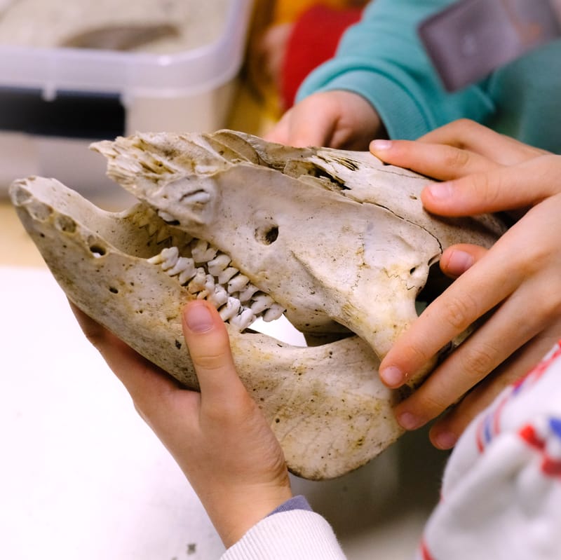 Jeudi 16 avril - Beaufort-sur-Gervanne