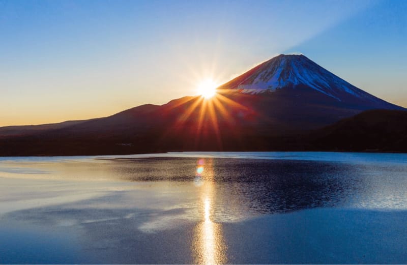 From Survival to Intention: What 2025 Taught Us—and How We Step Into 2026 Together