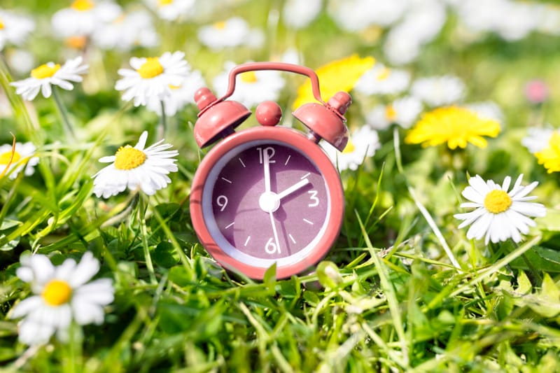 Spring Reset:
