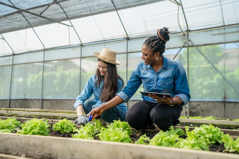 From “Extra Responsibility” to Sustainable Leadership: