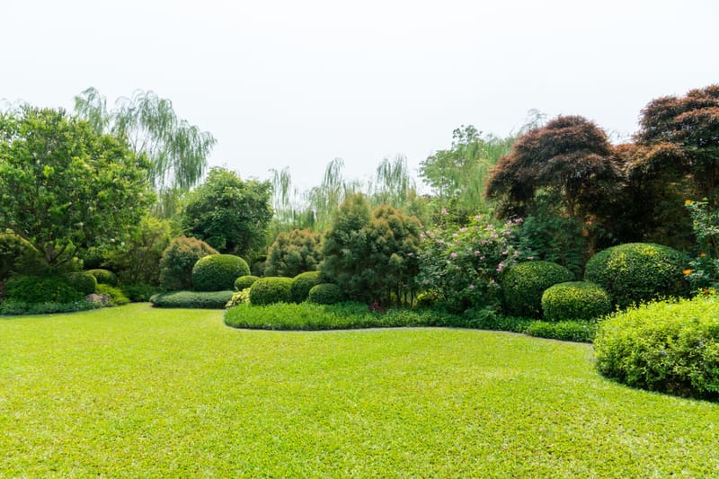 Gardening &amp; Landscaping