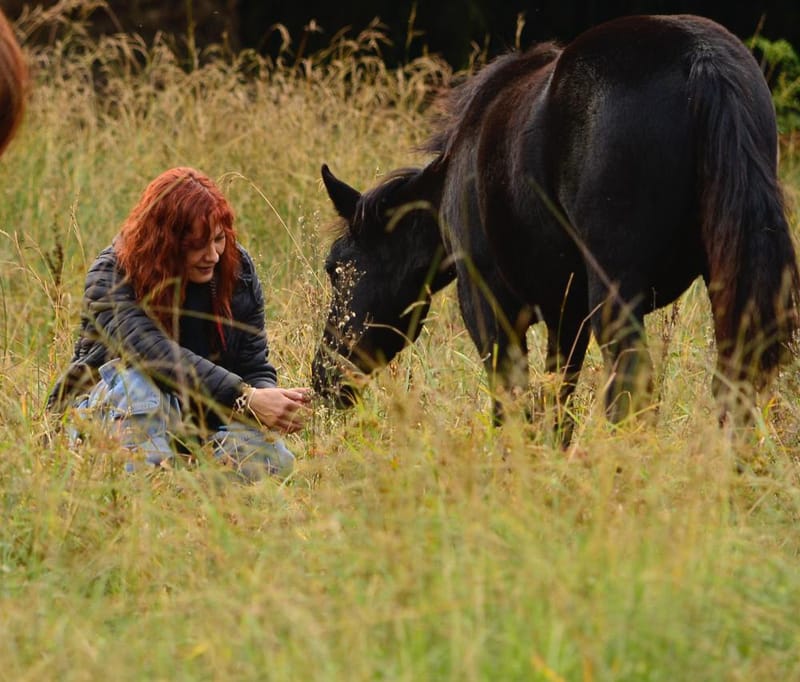 MAESTRAS EQUINAS image