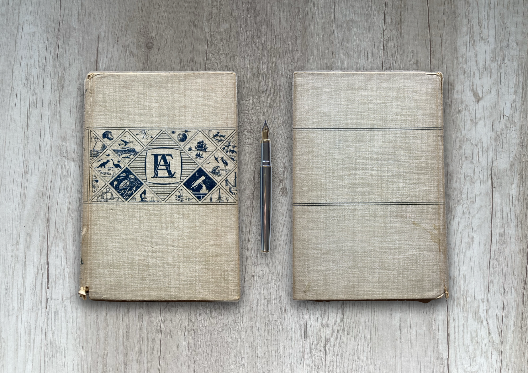 Subsistencia en la Luna