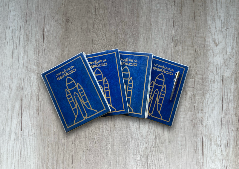 LA CONQUISTA DEL ESPACIO