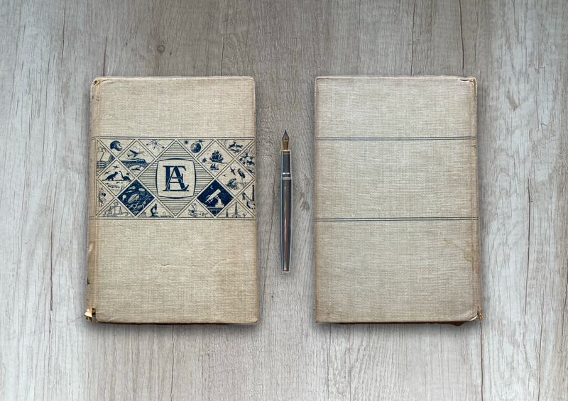 Subsistencia en la Luna