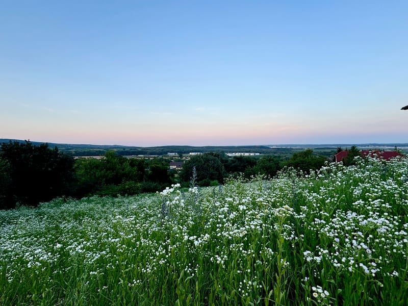 Pákozdon Ingóköveknél panorámás lakóövezeti telek présházzal eladó. Irányár: 74,8 MFt