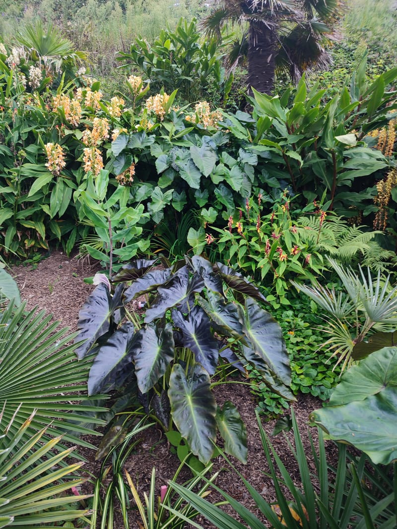 Présentation du jardin.