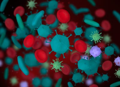 Unser Immunsystem, unsere körpereigene Armee