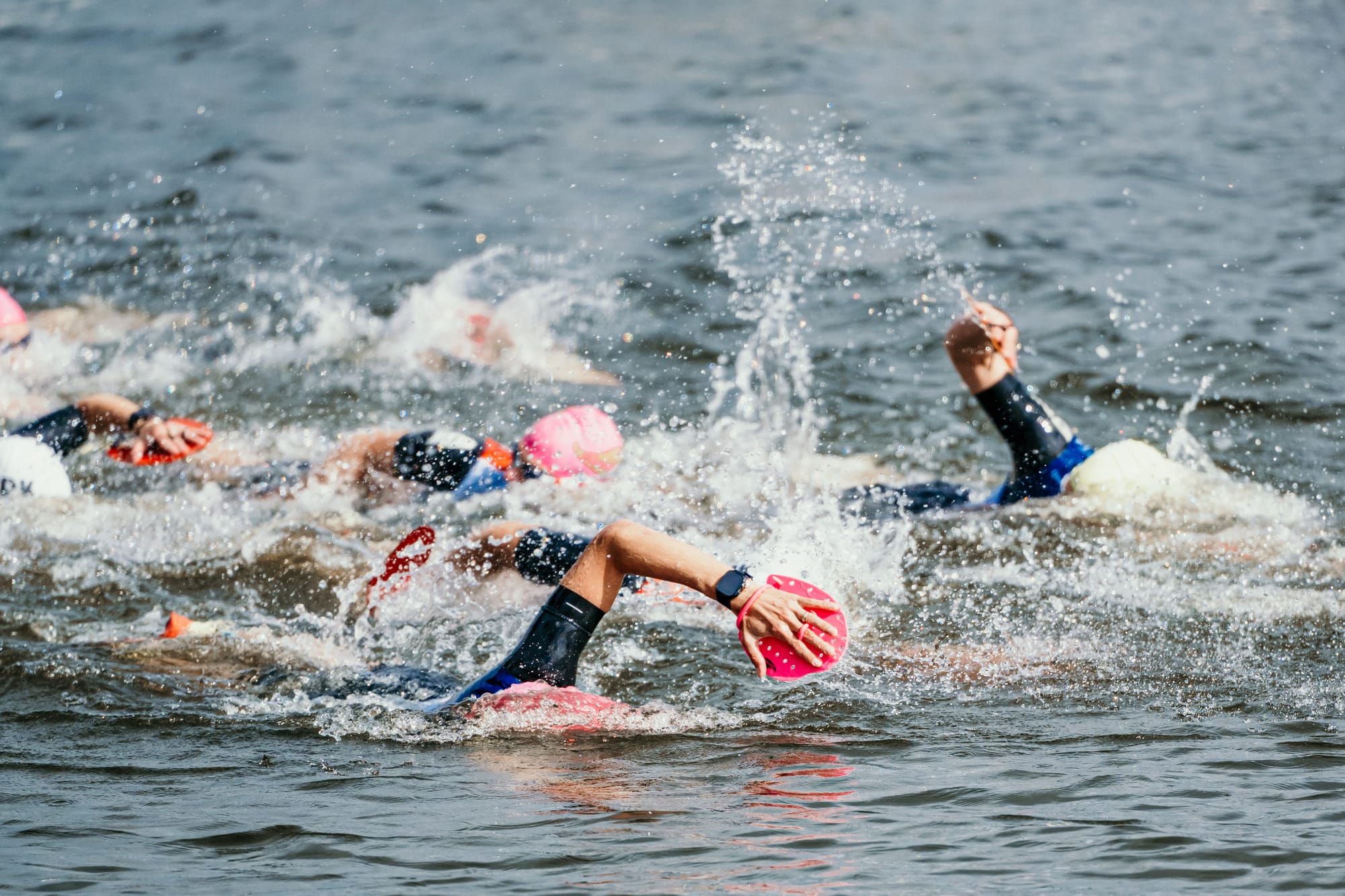 Fotograf Andreas Löfstrand (www.andreaslofstrand.com)