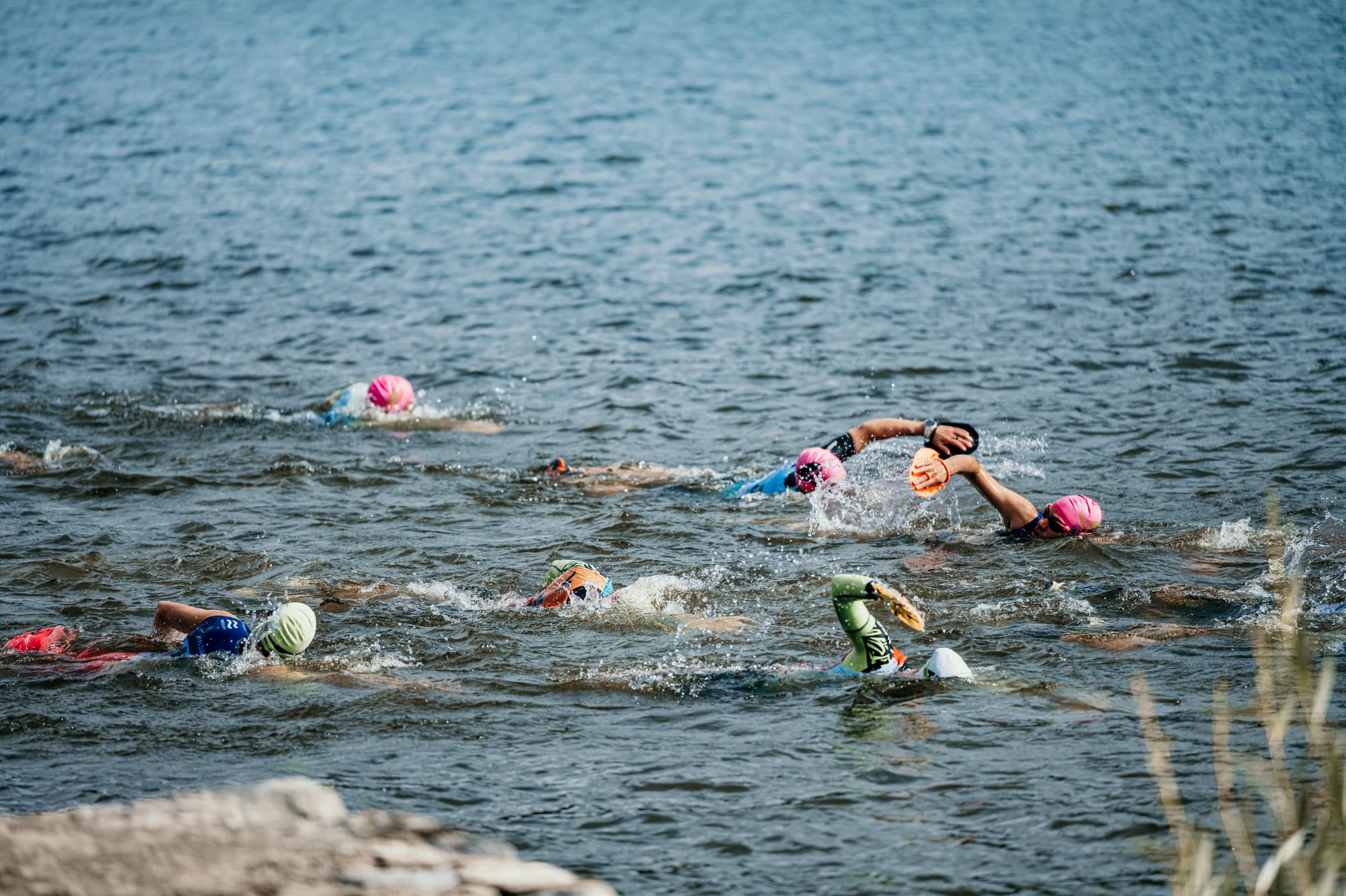 Fotograf Andreas Löfstrand (www.andreaslofstrand.com)