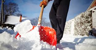 Hólapát és pétisó is érkezett