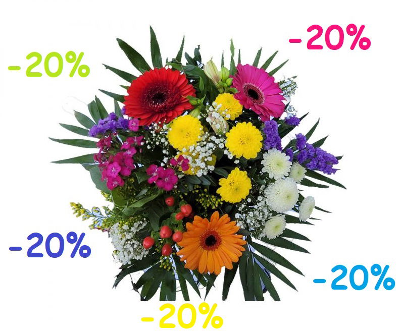 Nőnapi kedvezmény csak hölgyeknek!