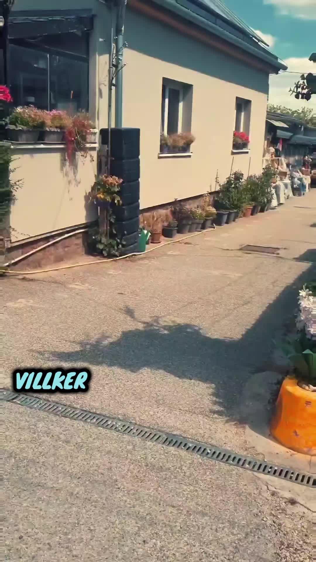 Reklám thumbnail