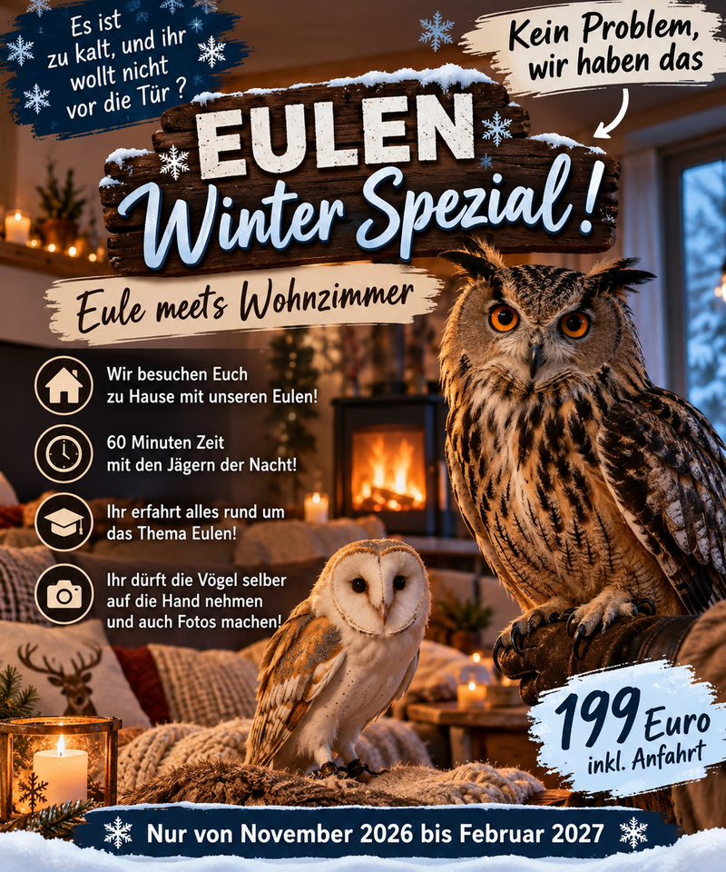 Eule meets Wohnzimmer