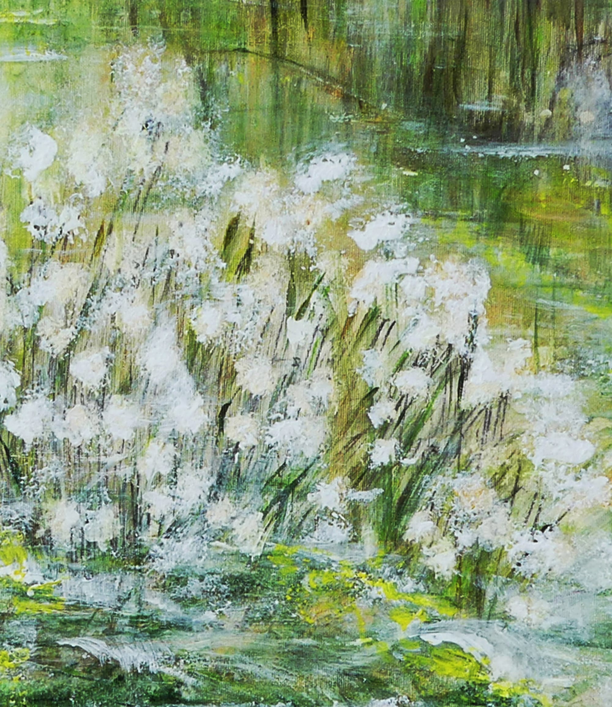 N° 387 les Linaigrettes des Voges