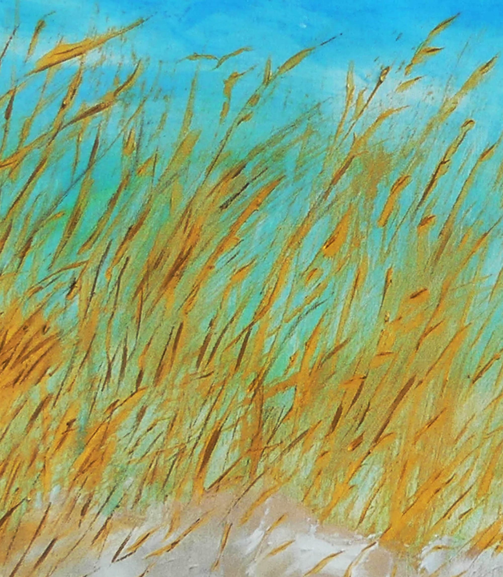 N° 532 les Blés dans le Vent