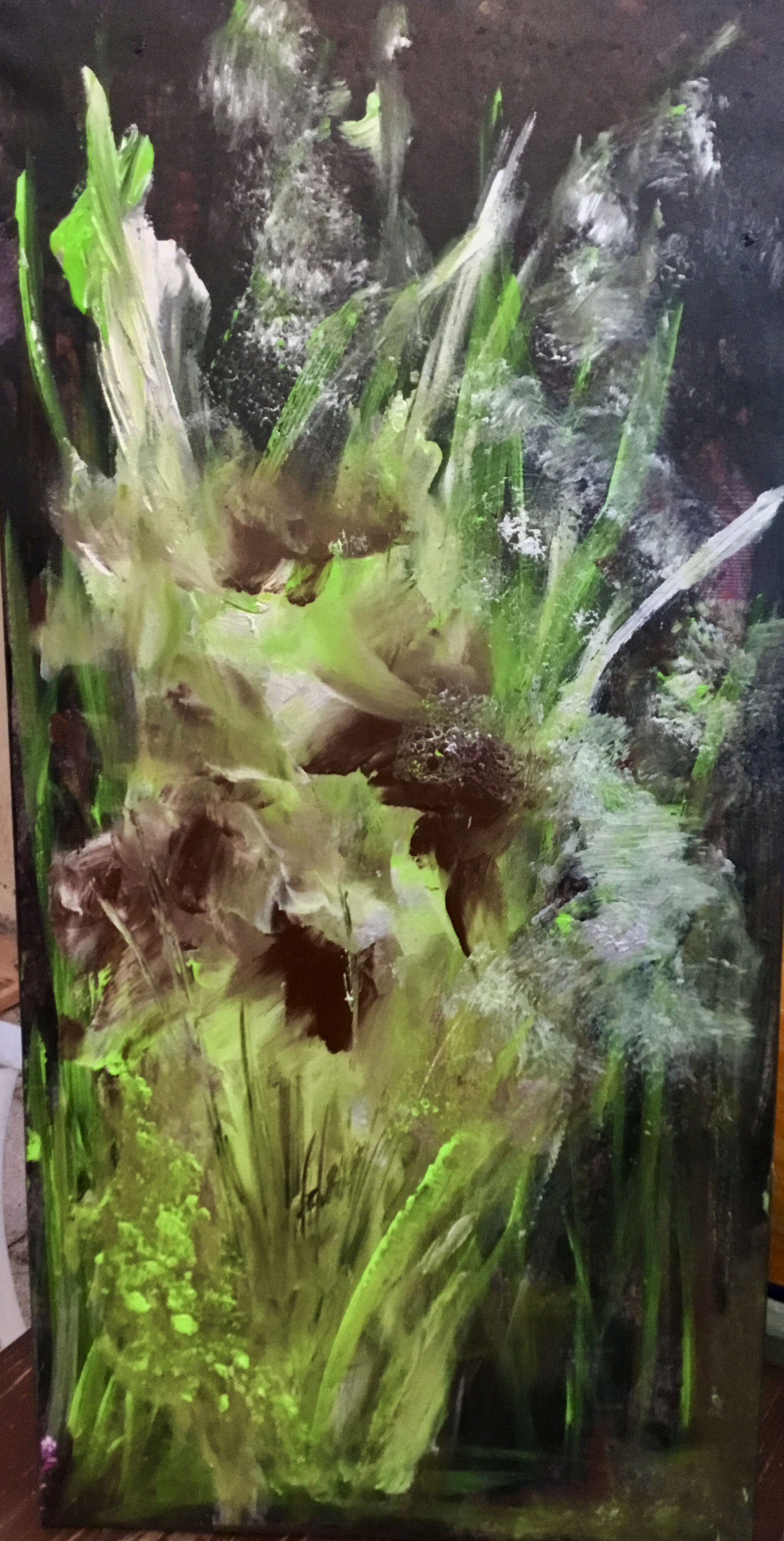 N° 7 Orchidées Sauvages de Colombie