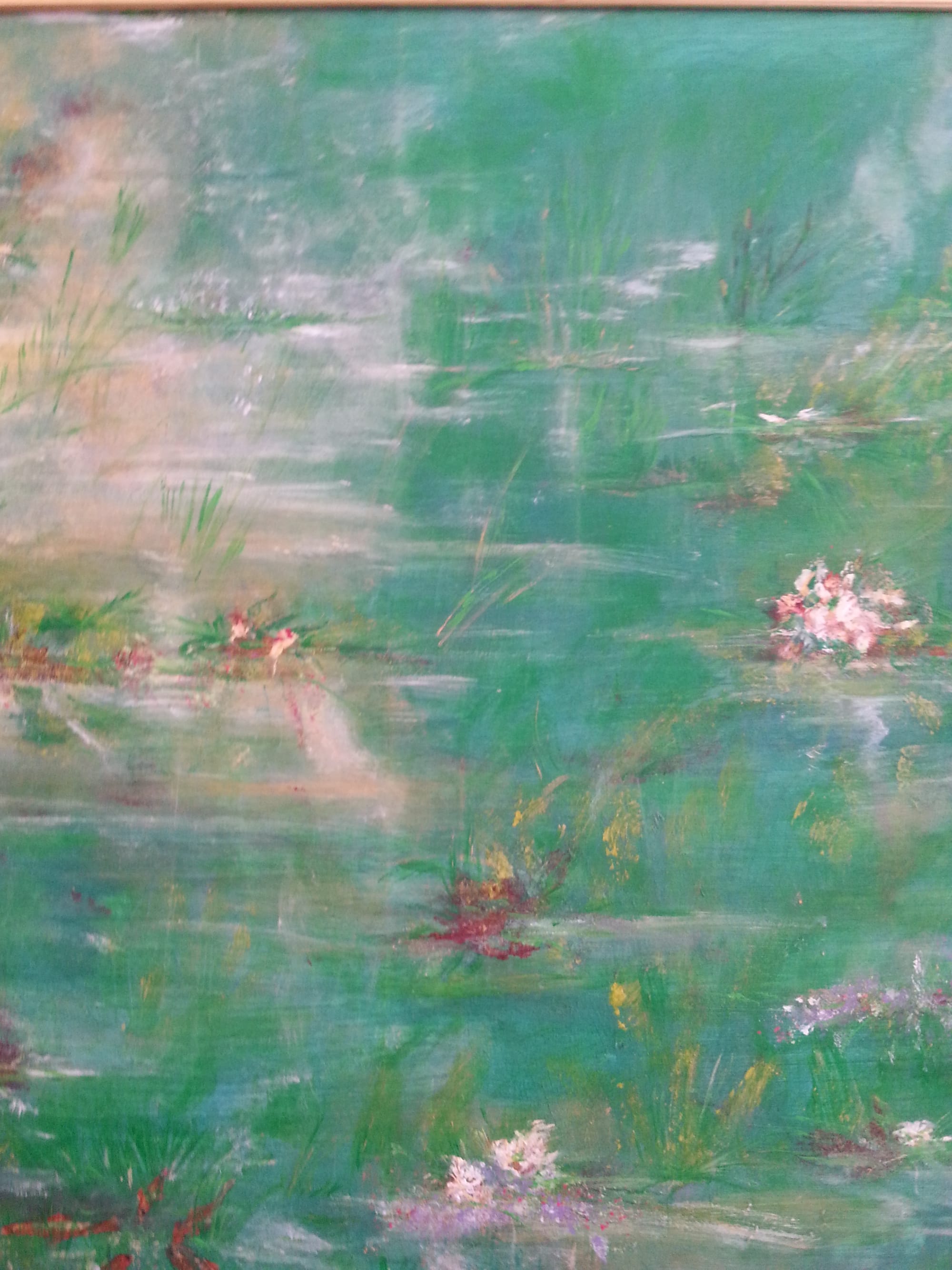 N° 225 les Nénuphares