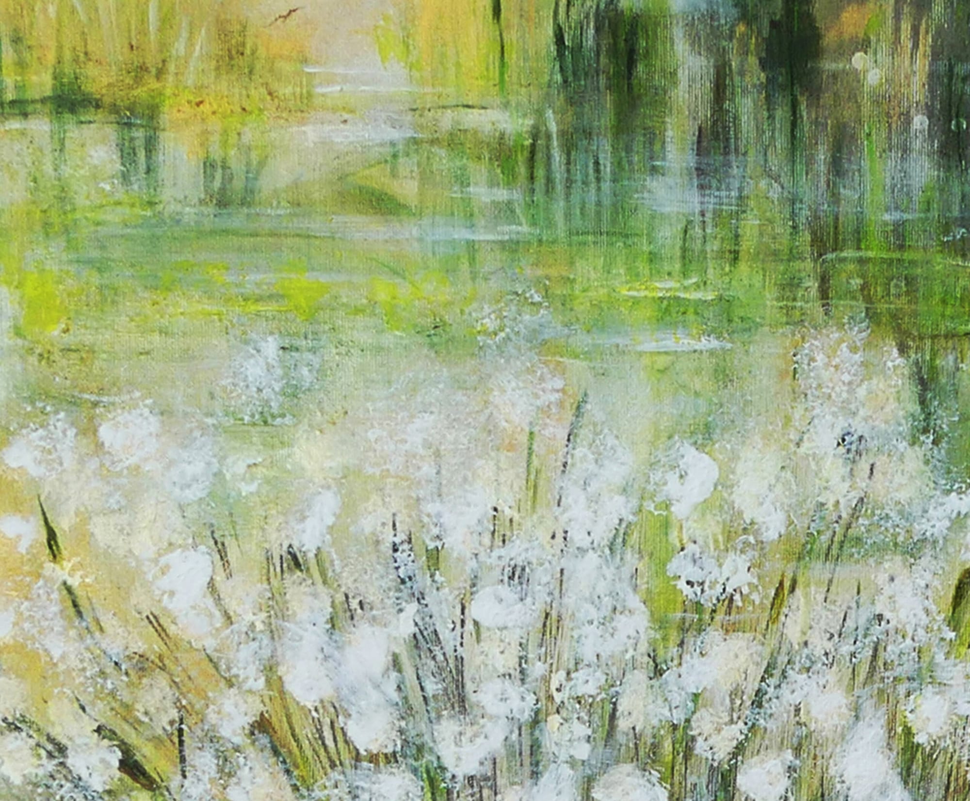 N° 387 les Linaigrettes des Voges 2