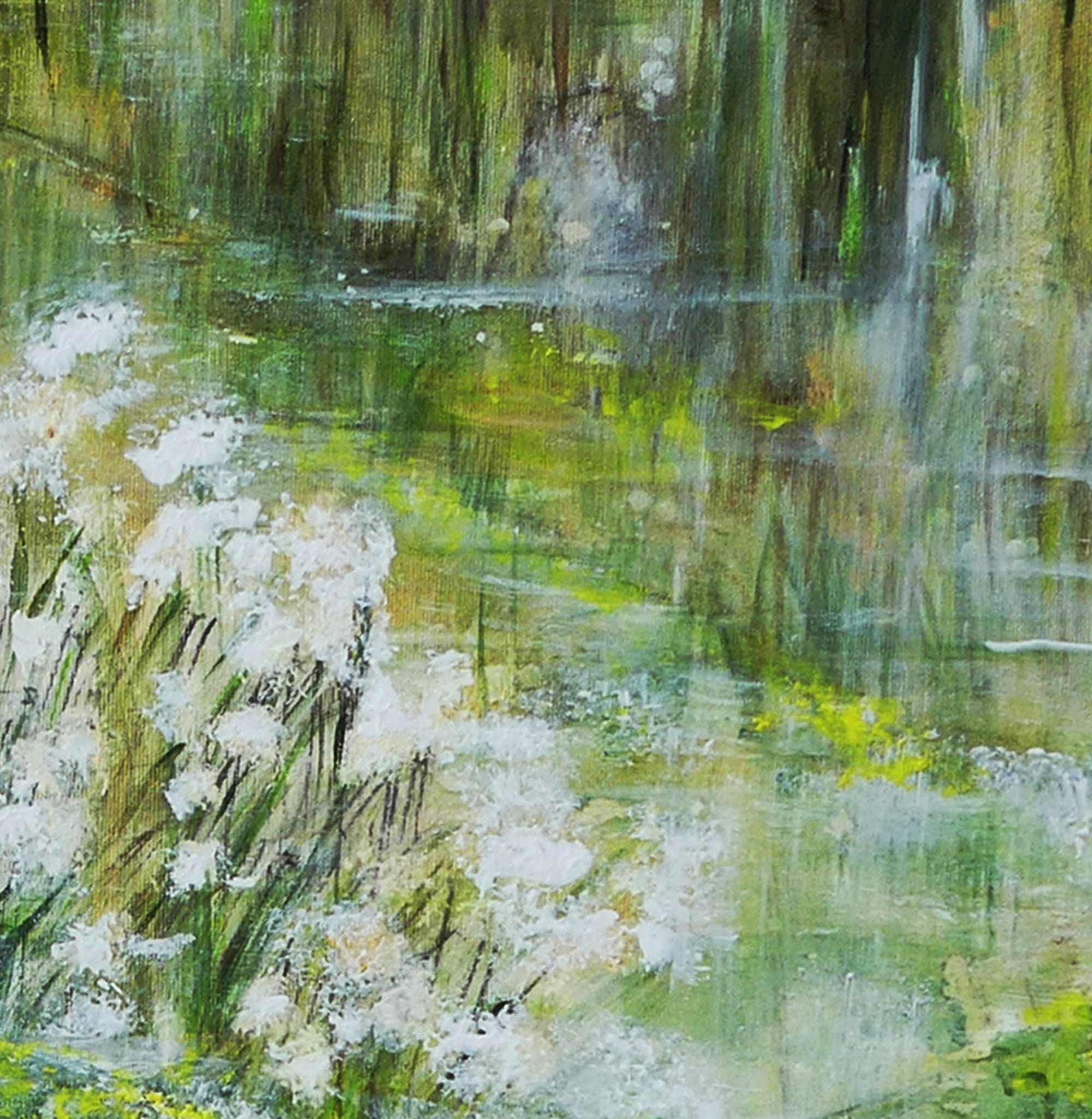 N° 387 les Linaigrettes des Voges 1