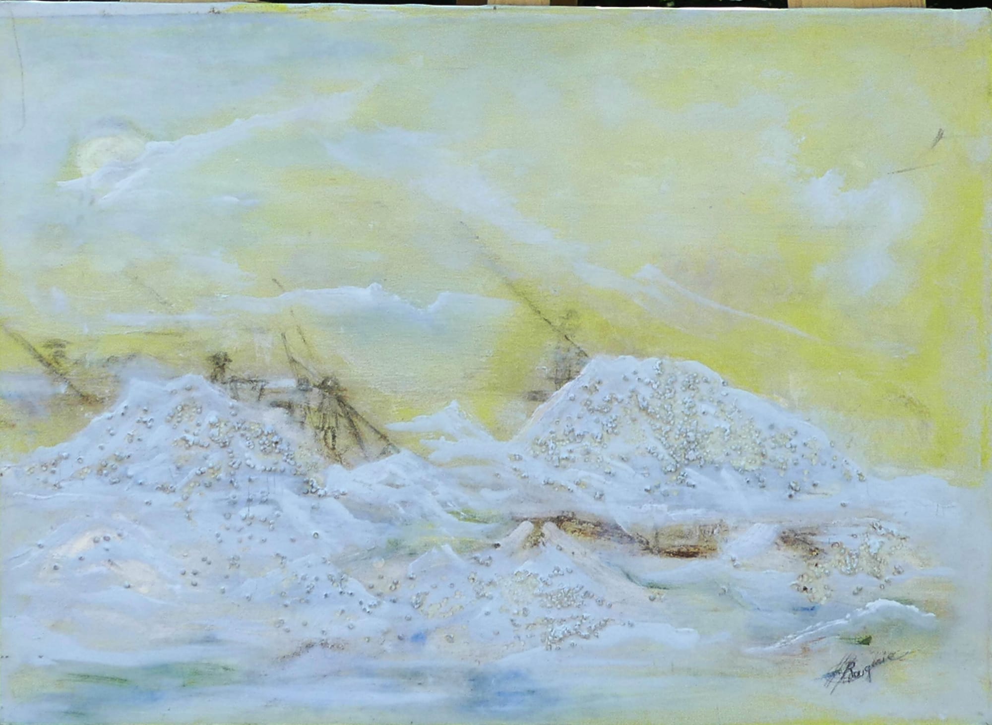 N° 46 Marais Salans