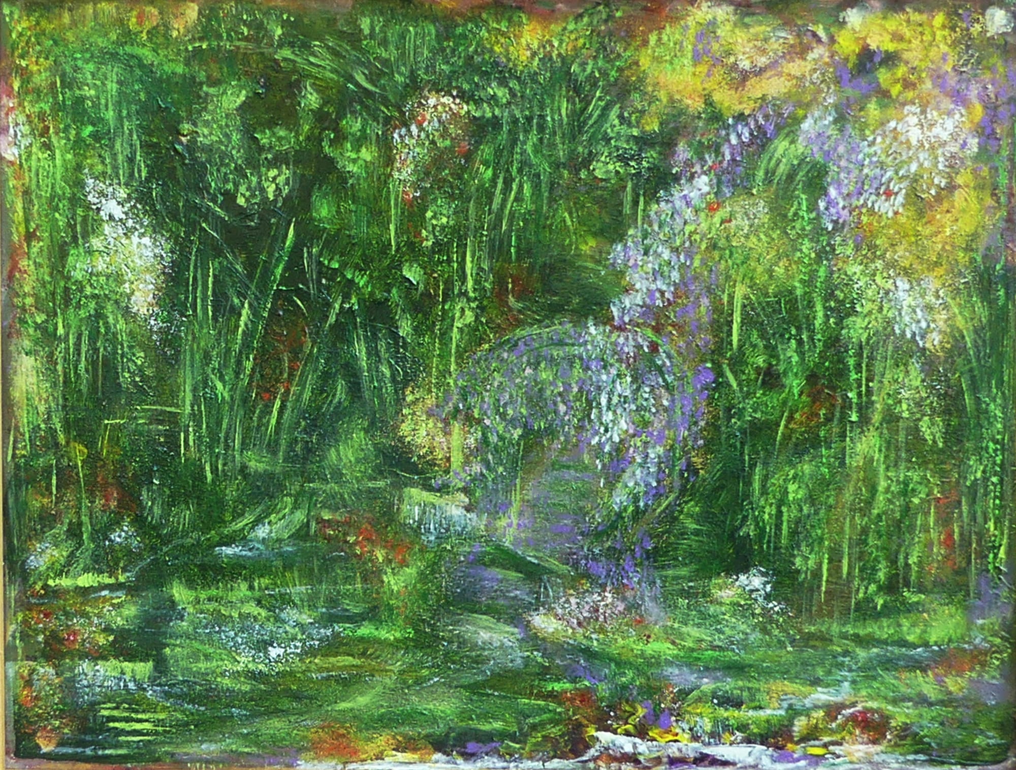 N° 407 les Medinila Magnifica aux Iles Fidji