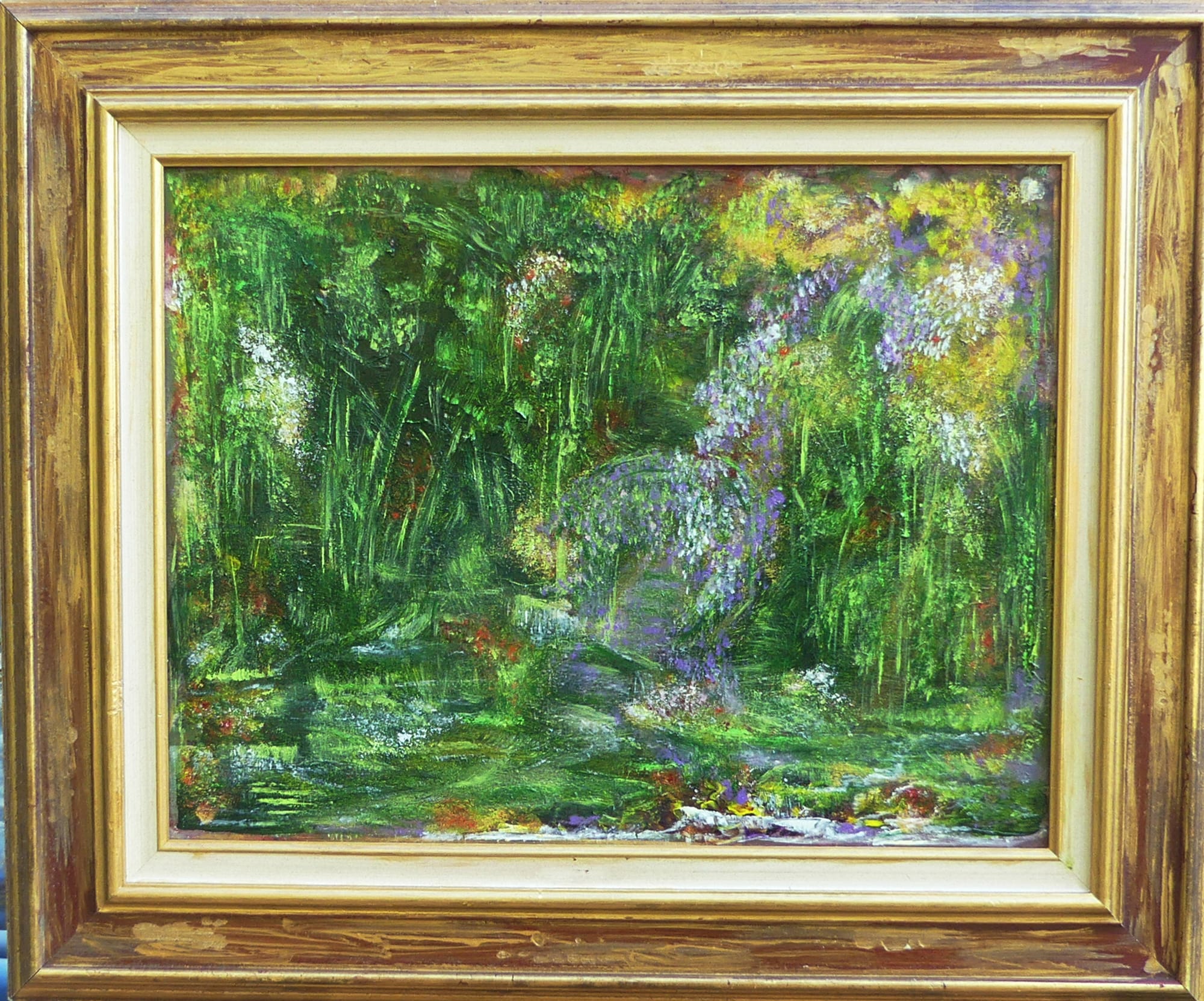 N° 407 les Medinila Magnifica aux Iles Fidji