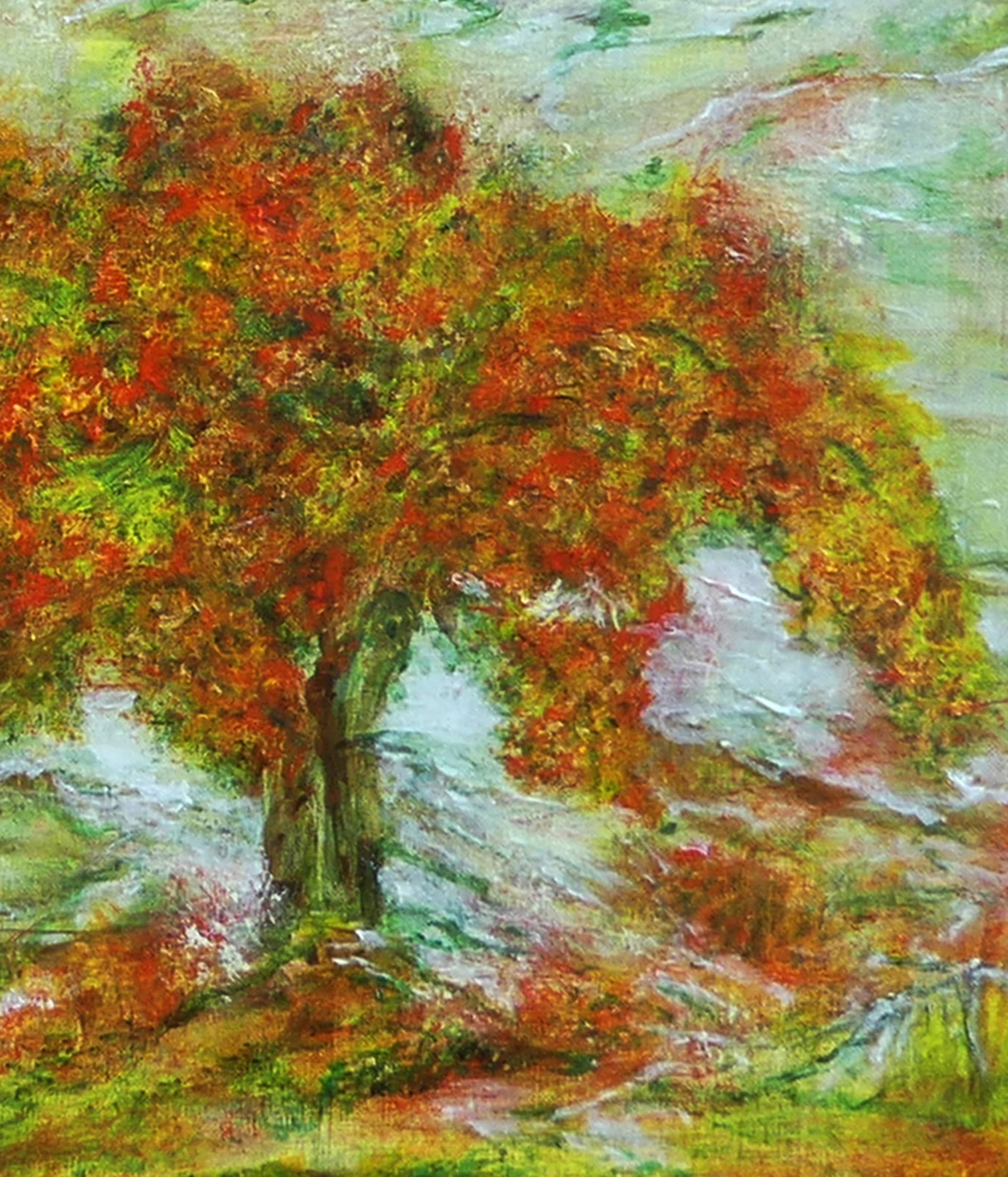 N° 409 Riviére Tonnerre sous les Erables Quebec