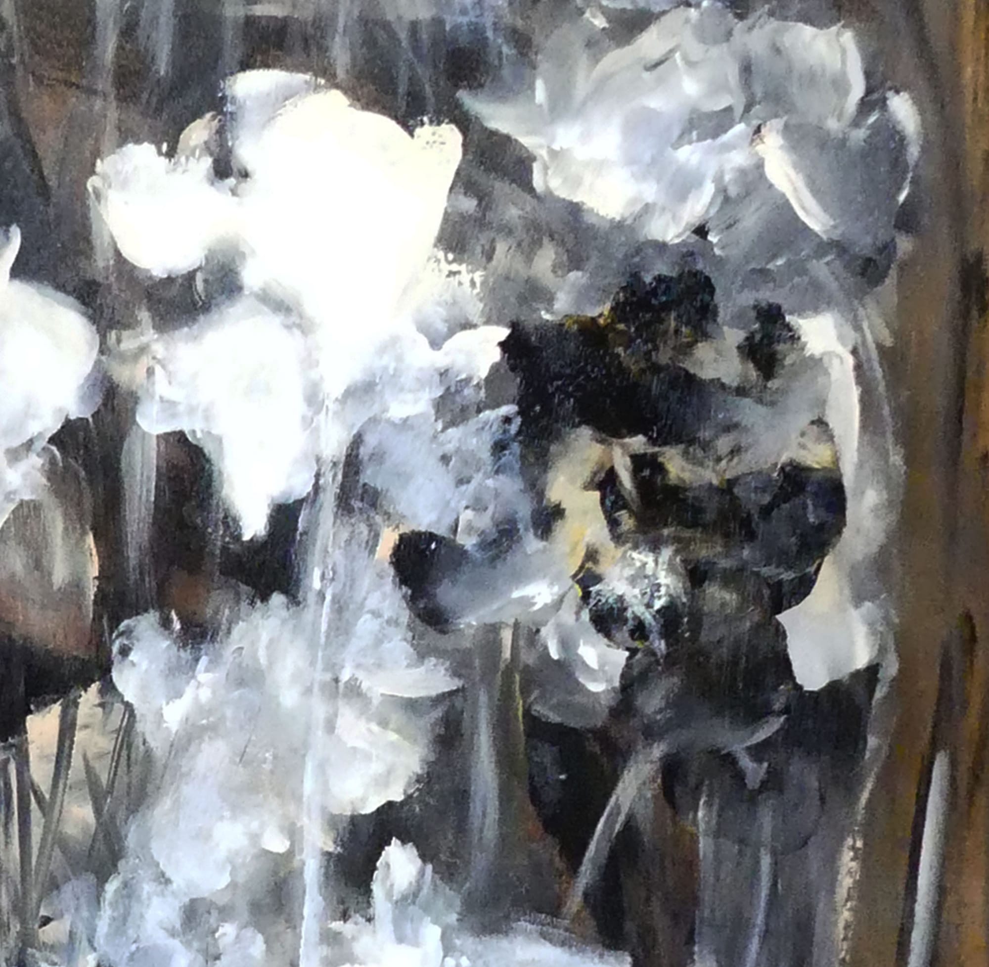 N° 575 Roses Blanches 2