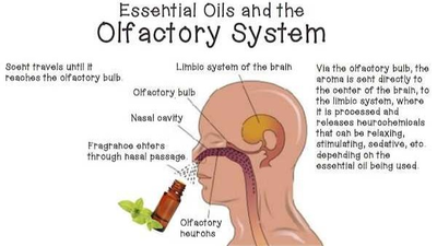RADIONICA: Aromaterapija za jasnoću i produktivnost u poslu