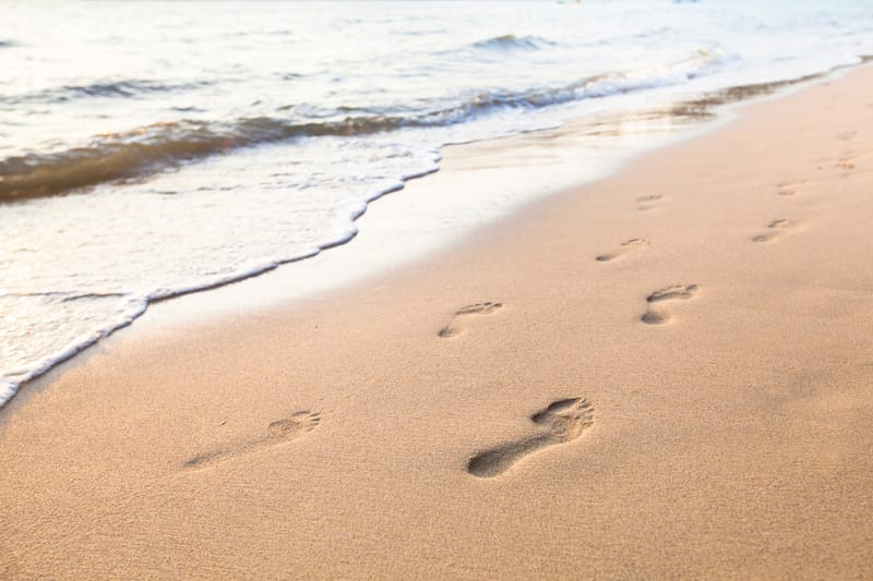 The Walk