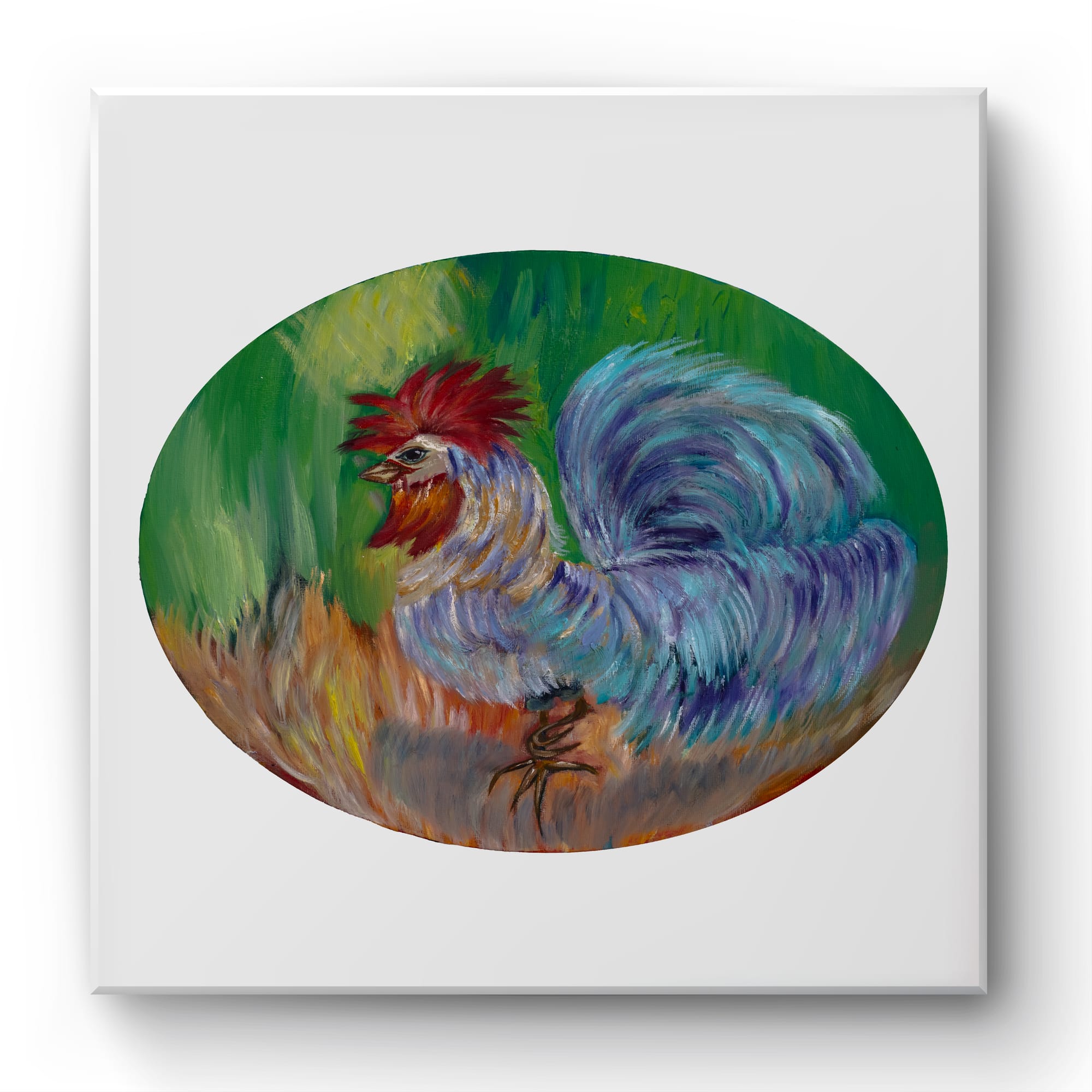 Rooster