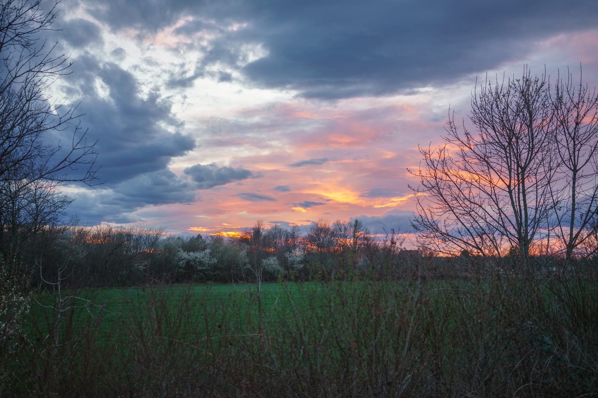 Зеркало Будущего Понедельника.
